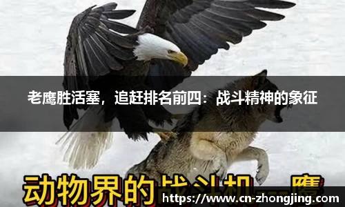 yy体育
