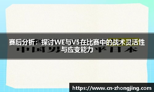 yy体育