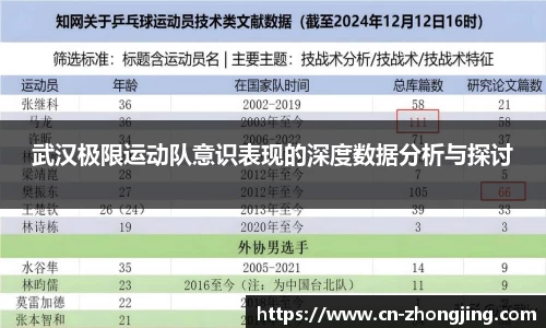 武汉极限运动队意识表现的深度数据分析与探讨