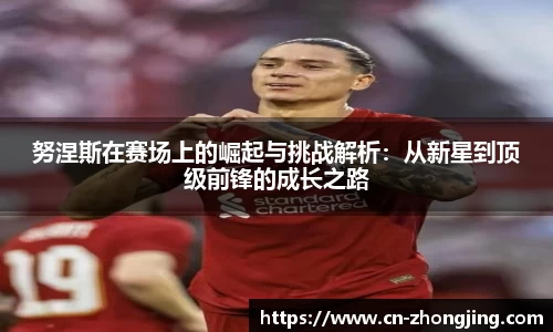 yy易游体育